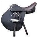 Avec quelle selle fait-on de l´quitation classique ?