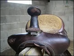 Comment s´appelle cette partie de la selle western ?