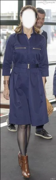 Quelle princesse a port cette robe ?