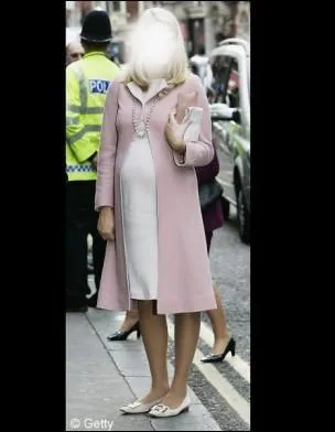 Quelle princesse a port cette robe ?