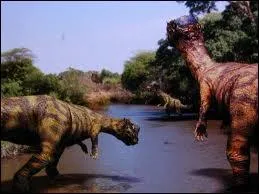 Je suis le pachycphalosaure. Dans ma famille, nous avons tous une caractristique bien spciale. Laquelle ?