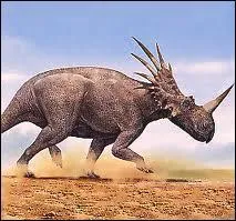 Je suis le styracosaure. J'ai six longues cornes sur ma collerette, une au-dessus de chaque il et une autre sur mon museau. Je suis de la mme famille que :