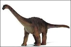 Je suis le saltasaure. Mon nom vient d'une ville situe dans un pays d'Amrique du Sud dont la capitale est Buenos Aires. De quel pays sagit-il ?