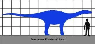 Je suis le saltasaure, je suis herbivore et je porte une cuirasse pour me protger. En quoi est-elle faite ?