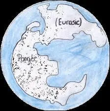 Dernire question => Pour dcouvrir quand sont apparus les dinosaures divise par 1000 par 4, soustrais 20 et multiplie ce chiffre par 1 million. Quelle est ta rponse ?