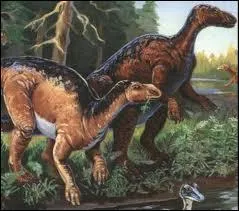 Je suis l'edmontosaure et j'ai un bec de canard. Mais j'ai quand mme des dents... O se trouvent-elles ?