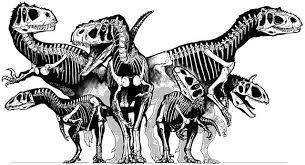 Quiz Dinosaures