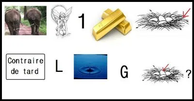 [Sciences et Nature] Dchiffrez ce rbus et rpondez  la question pose !