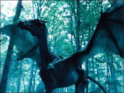 Comment traduit-on un  Sombral  ?