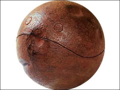 Un Cognard est traduit par...