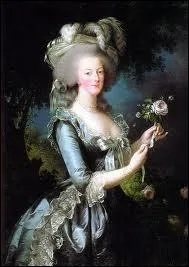 Marie-Antoinette et son fidle ami le comte Axel de Fersen tudirent un plan de fuite  l'tranger avec la fameuse arrestation  Varennes, durant quelle nuit eut lieu cette  vasion  ?