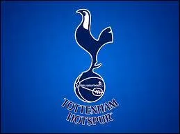 2 joueurs belges voluent actuellement  Tottenham Hotspur, il s'agit de ...