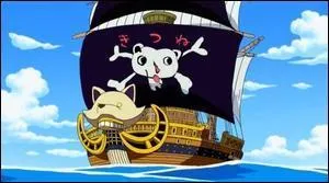 Quel est le nom de ce navire sur lequel Luffy a montr tout son talent artistique ?