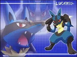 Quel(s) est/sont le(s) type(s) de Lucario ?