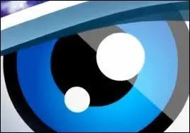 Avec qui Capucine partage-t-elle son secret ?