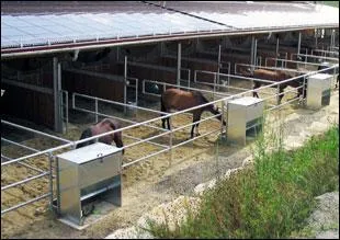 O vas-tu chercher ton poney ?