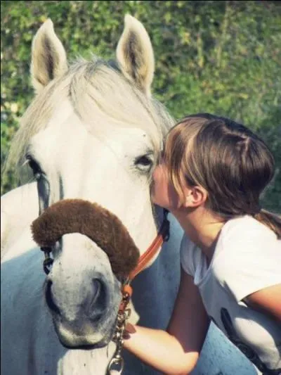 Comment abordes-tu un cheval ?