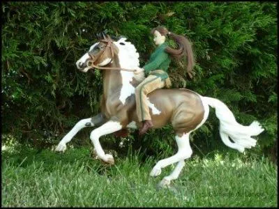 Quelle allure n'existe pas ?