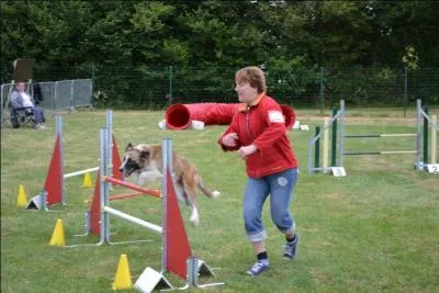 Quelle est cette activit ?