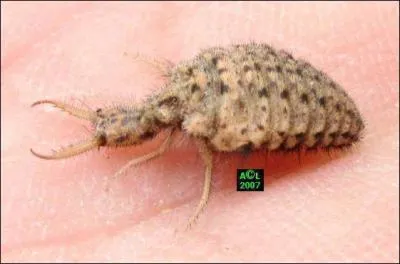 D'un certain ct, j'ai un rapport avec la question 2, et surtout la rponse, car moi aussi j'adore ...