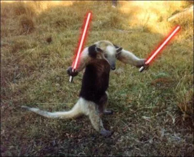 Terrestre, on m'appelle tamanoir, arboricole, c'est plutt tamandua, ou myrmidon, mais dans les trois cas, je raffole particulirement des ...