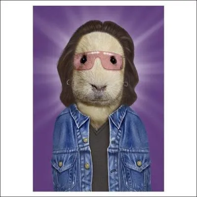 Depuis quelle anne Bono fait-il des chansons ?