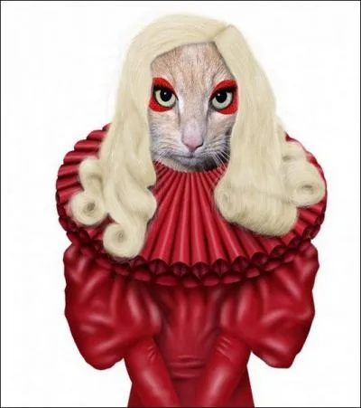 Quel ge a Lady Gaga ? (2013)