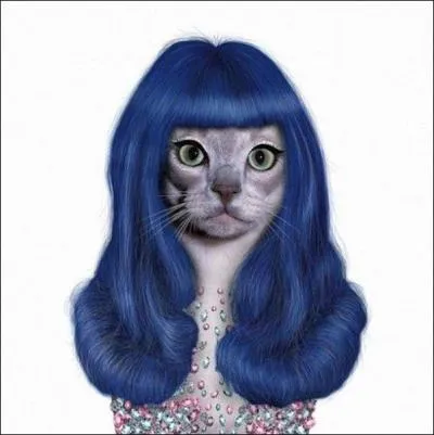 Parmi ces chansons, laquelle n'a pas t interprte par Katy Perry ?