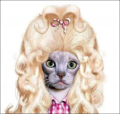 Qui est cette chanteuse de 29 ans ?