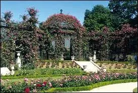 Je me promne dans la roseraie de la ville de L'Ha-les-Roses ( Val-de-Marne ). La ville est chef-lieu ...