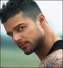 Quel est le pays d'origine de Ricky Martin dont on a tous en mémoire le titre ''Maria'' ?