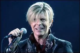 À part la beauté, quelle est la particularité physique de David Bowie ?
