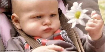 Comment s'appelle-t-il ?