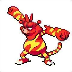 Et encore un Pokmon de type feu ! Celui-ci a deux boules sur la tte avec des flammes encore au dessus ! Quant au second, il est de type lectrique !
