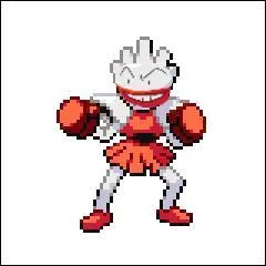 Voici un Pokmon de type combat qui ne se bat qu'avec ses poings ! Il peut utiliser de la foudre, de la glace et du feu avec ses poings ! Quant au second, il est de type lectrique. Il ressemble normment  une Pokball !