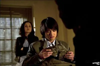 Qui est Kevin Tran ? (saison 7)