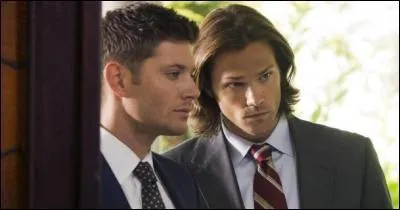 Qui des deux frres sera l'lu ? (saison 8)