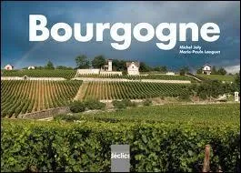 Romano est bourguignon ; il vient de la ville de :