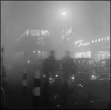 En 1956,  nouveau 1000 morts, une loi est mise en place, elle...