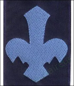 Quel(s) est/sont le/les article(e) de la loi qui aide la Jeannette pour aller vers sa fleur bleue ? Une Jeannette :