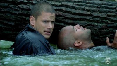 Afin de sauver Sucre, Michael a une ide, mais que dit-il alors  Sucre ?