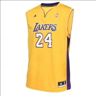  qui appartient ce maillot de NBA ?