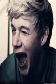 Avec qui Niall veut-il sortir ? (2013)