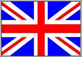 En anglais, dans le vocabulaire du crime, comment dites-vous  faire une enqute  ?