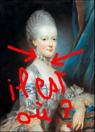 On appelle ainsi les petits embouts mtalliques fixs  l'extrmit d'un lacet ou d'une aiguillette. Ces bijoux sont voqus dans une aventure des trois mousquetaires. Comment s'appellent-t-ils ?