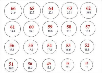 Cet accessoire se prsente sous la forme d'une feuille rigide perce de trous correspondant  des tailles de doigts. Comment s'appelle-t-il ?