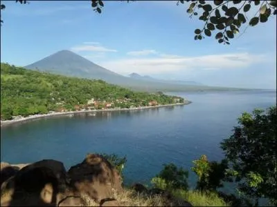 A Bali vous pourrez manger un bebek betutu qui est confectionn  partir de :