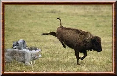 Mais ils taient rests ...