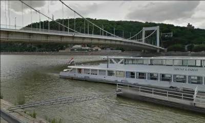 Cette capitale est traverse par le Danube :