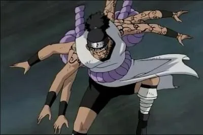 Sous l'effet de la marque maudite, en quel animal Kidomaru peut-il se transformer ?